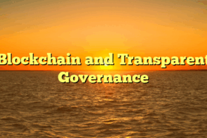 Blockchain and Transparent Governance