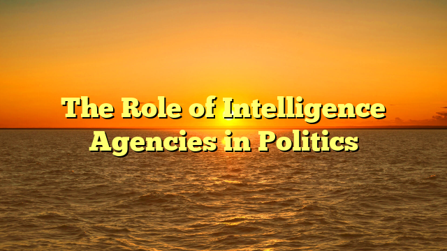 The Role of Intelligence Agencies in Politics