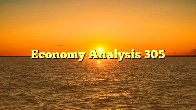 Economy Analysis 305