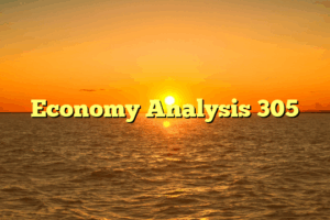 Economy Analysis 305