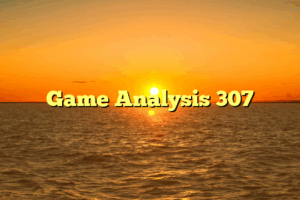 Game Analysis 307