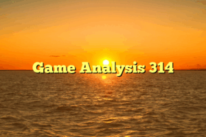 Game Analysis 314