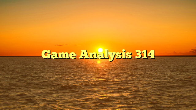 Game Analysis 314